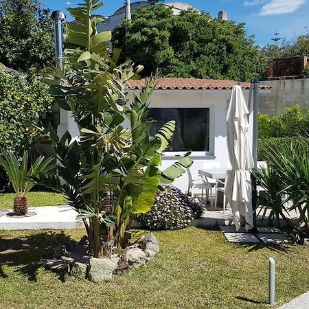 Casa Vacanza M&C Ischia Forio  Exterior photo