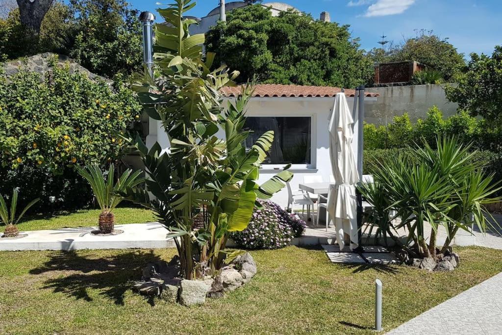 Casa Vacanza M&C Ischia Forio  Exterior photo