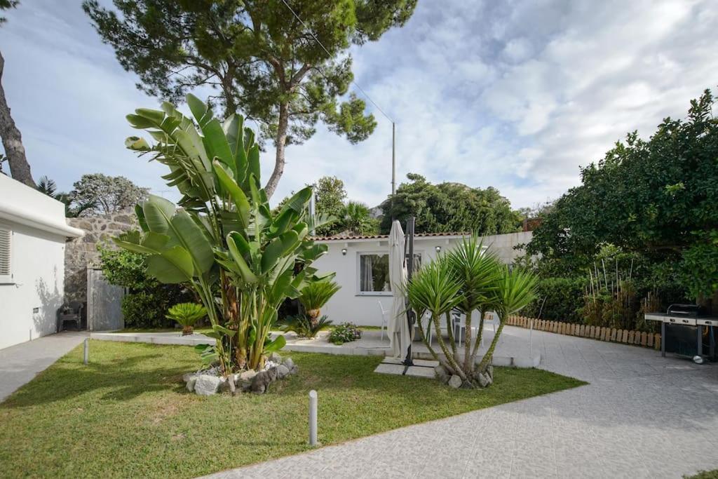 Casa Vacanza M&C Ischia Forio  Exterior photo